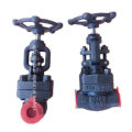 800L 1500lb forgé en acier A105 bout NPT Globe Valve